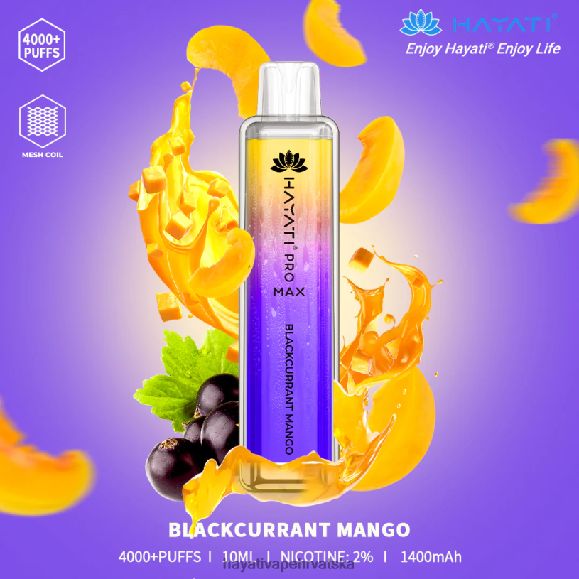 Hayati Zagreb - Hayati Pro Max za jednokratnu upotrebu 0D4PD92 crni ribiz mango